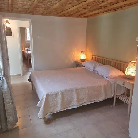 Syneti Andros House Sineti