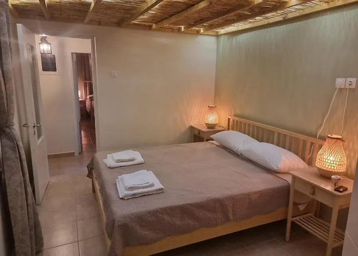 Ferienhaus Syneti Andros House