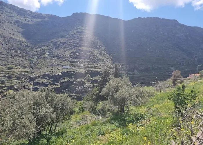 Syneti Andros House Дом отдыха Sineti